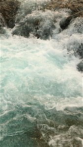Elbow Falls, The Movie