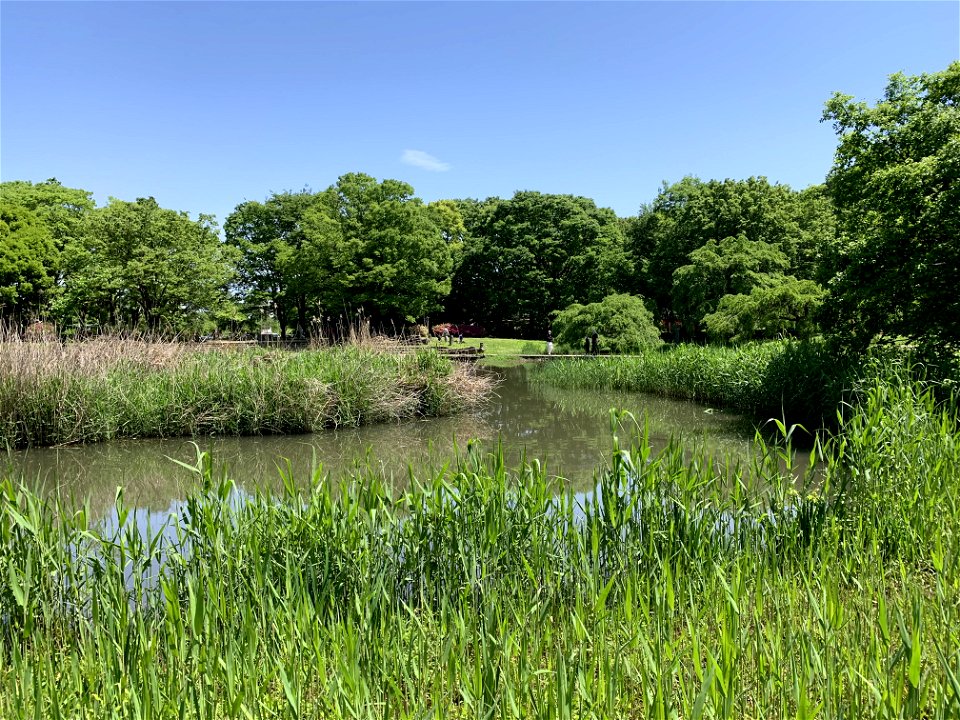 Kiyose Kanayama Green Space Park