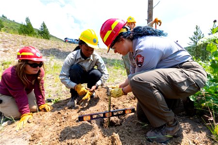YCC Alpha Crew 2021 Grizzly Lake Trailhead sign install: measuring post hole depth