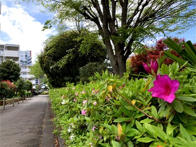 Hanamizuki Park