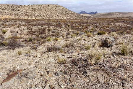 Otero Mesa