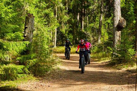 Aulanko Outdoors, Hämeenlinna, Finland photo