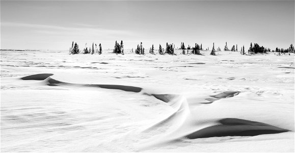 Textures of snow at Selawik National Wildlife Refuge