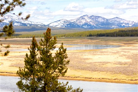 Yellowstone River winding through Hayden Valley (3) photo