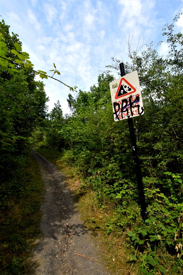 DSC_0560 (2)