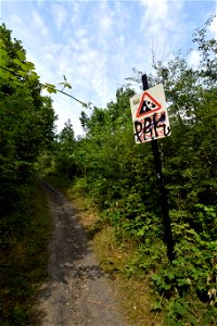 DSC_0560 (2)