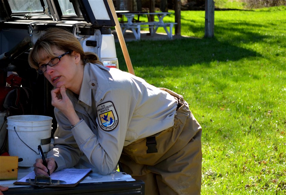 Fish Biologist Cheryl Kaye during a non-target risk assessment collection.