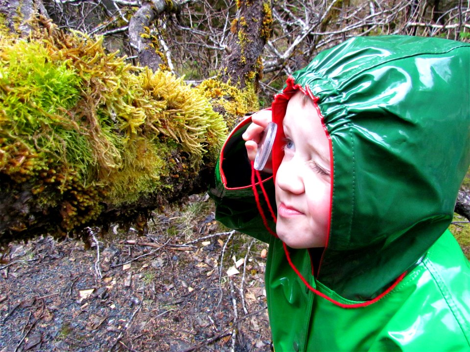 2012 Kodiak-Learn Salmon Camp photo