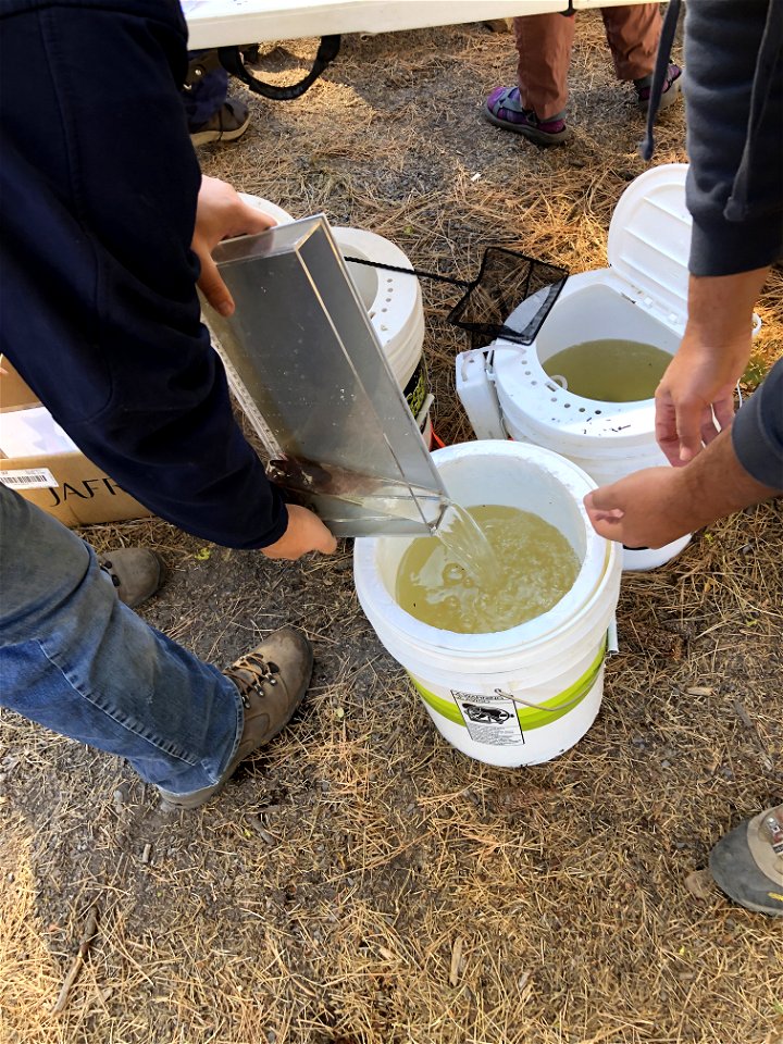 Filling a bucket for an Every Kid Outdoors demonstration