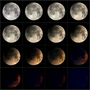 Eclipse of the Moon on May 16, 2022 photo