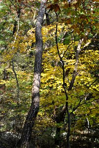 Deoksungsan Mountain
