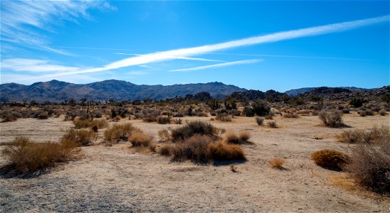 Joshua Tree National Park