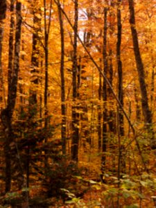 20221011-FS-Superior-SAR-017