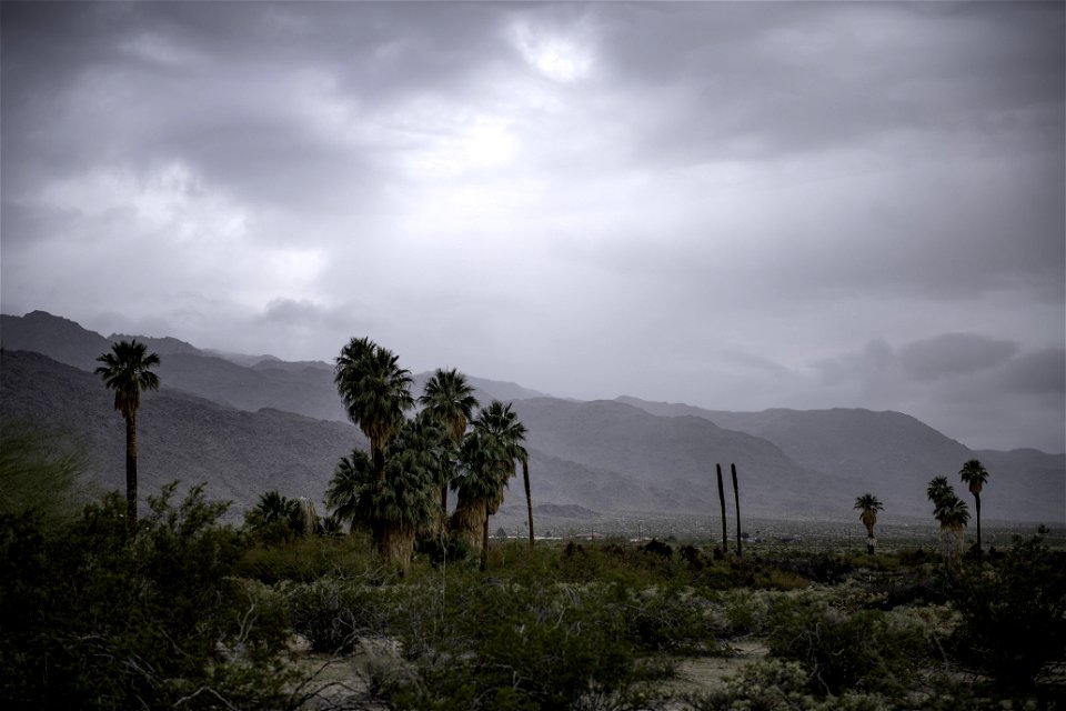 Storm clouds over the Oasis of Mara