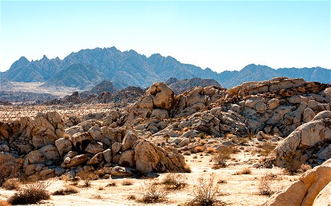 Boulder field and Coxcomb Mountains photo