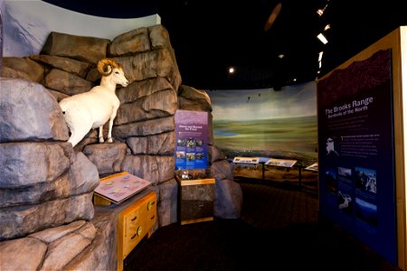 The Arctic Interagency Visitor Center photo