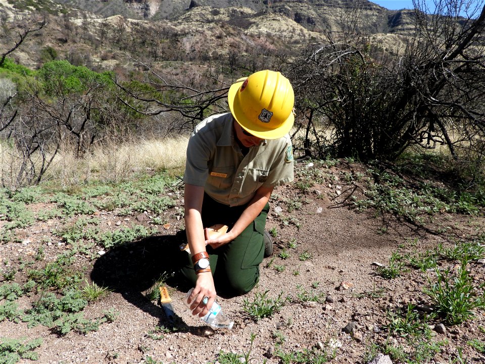 Fossil Creek Soil Monitoring photo