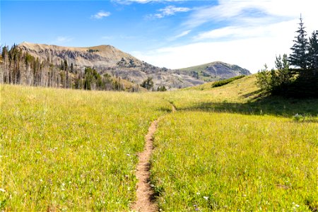 Trail at Fawn Pass
