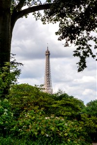 The Eiffel Tower, Paris photo