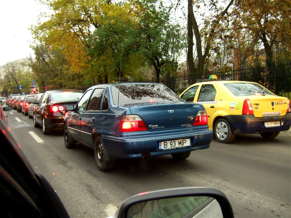 gradina-rosetti2009_1109_081555