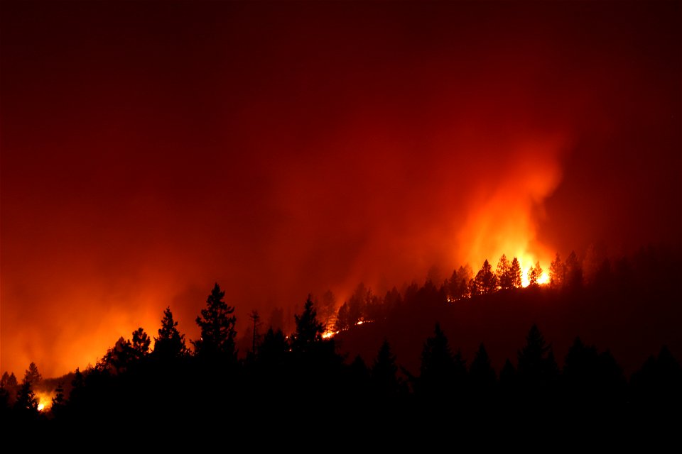 Ford-Corkscrew Fire