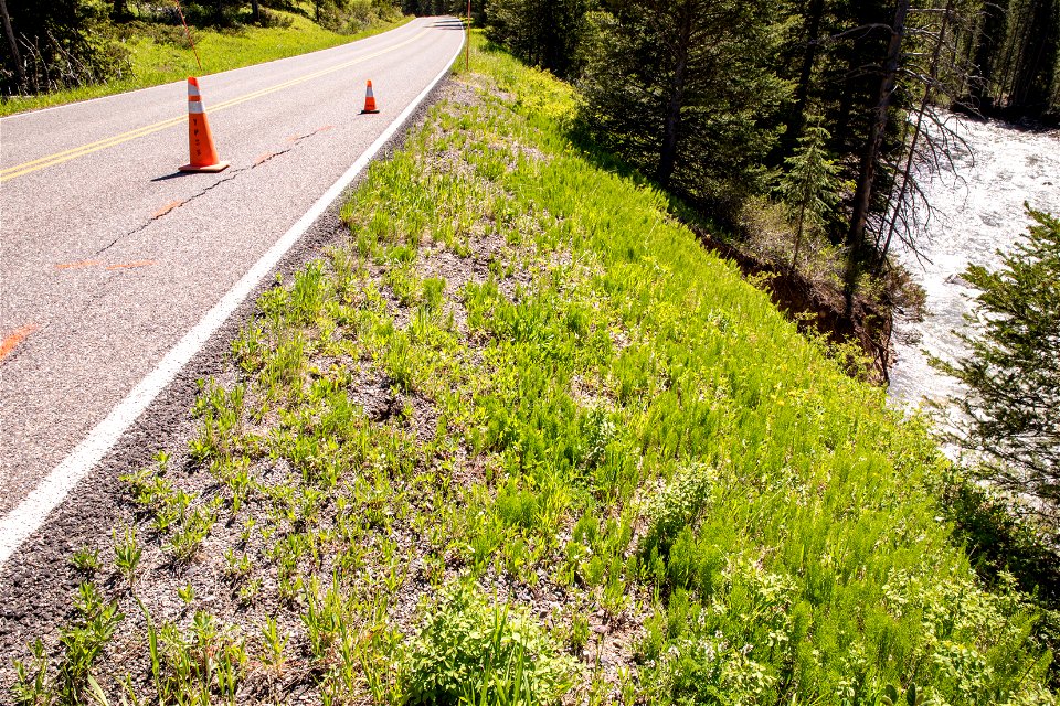 Crack in Northeast Entrance Road from sluffing of adjacent bank caused by high water in Soda Butte Creek.