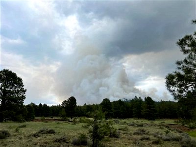 Burnout operations on Mooney Mountain, Volunteer Fire 6/2/23. photo