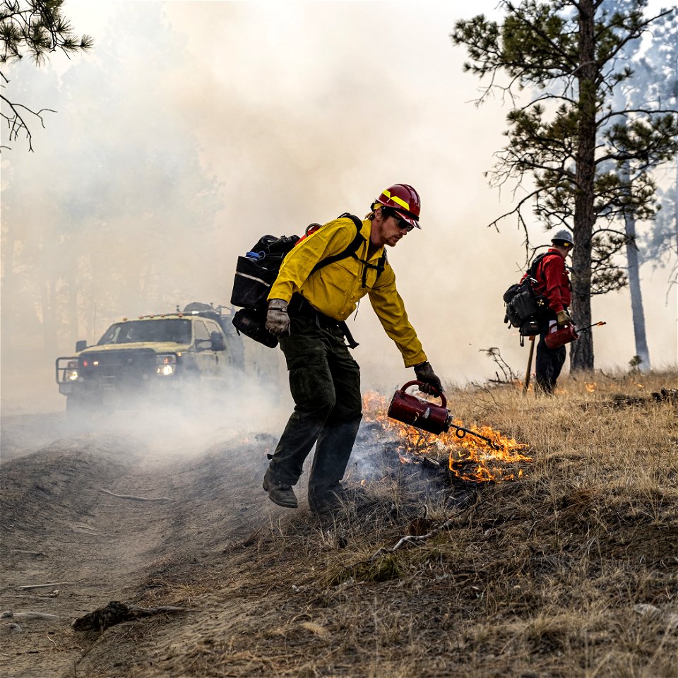 2022 BLM Fire Employee Photo Contest Category -  Partnerships