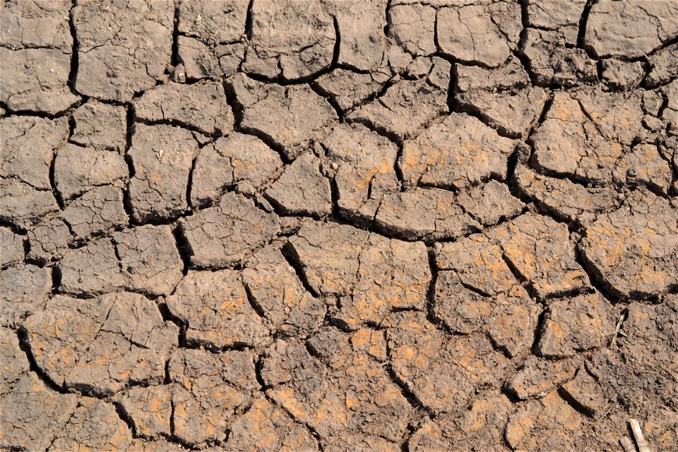Free textures with cracks