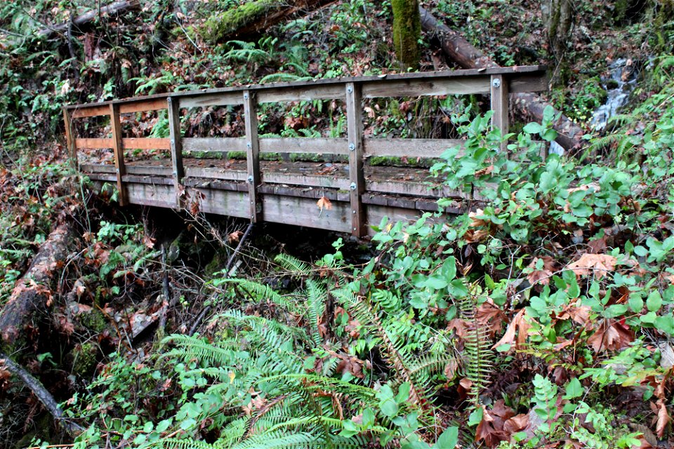 img_2280_trail-bridge-mp-174jpg_49364730907_o