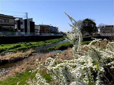 Kurome River