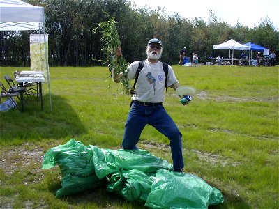 Audubon team member with white sweet clover