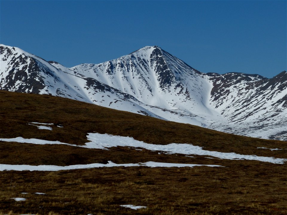 Kilbuck Mountains