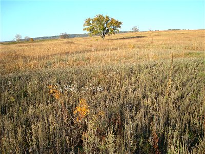 Lost Mound Sand Prairie
