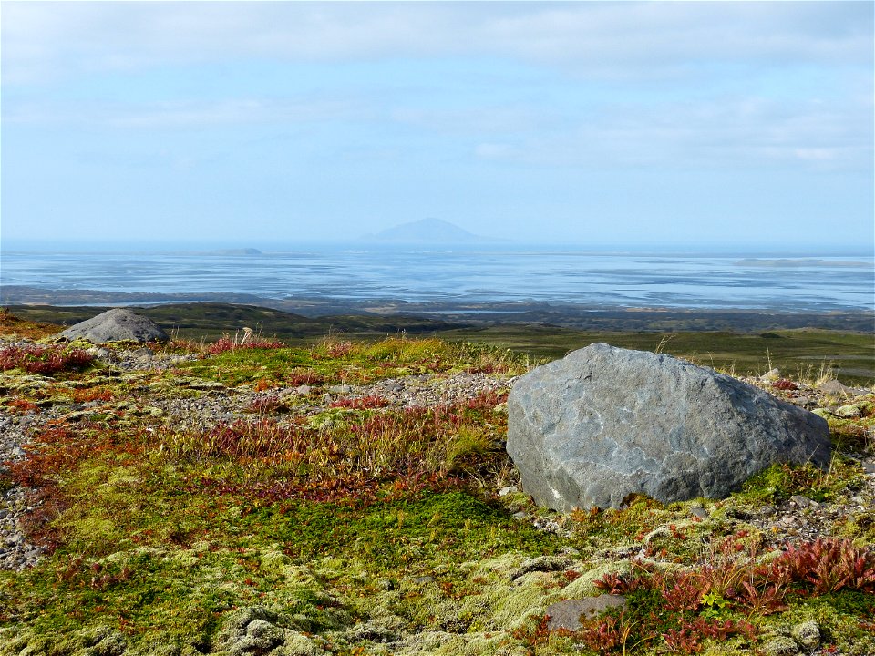 Fall colors in Izembek wilderness