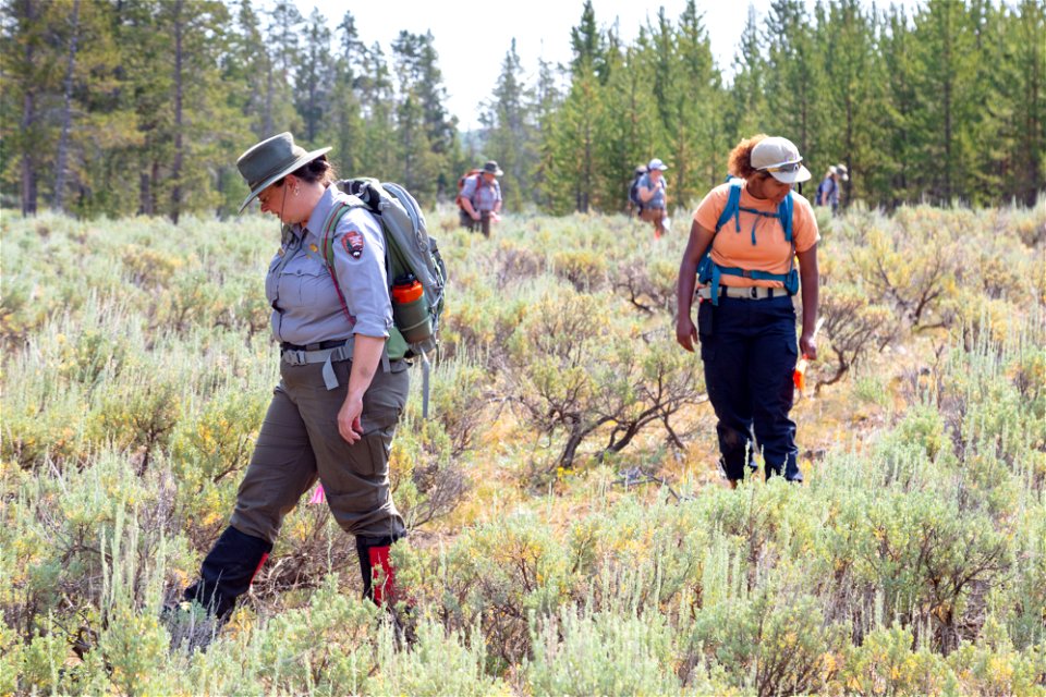 Salish Kootenai College Archaeology group: grid searching (4)