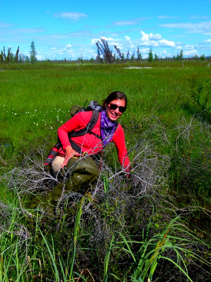 INN_Photo 3 Bog Hazards
