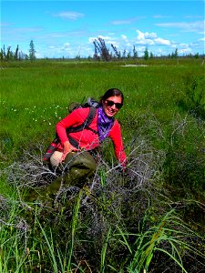 INN_Photo 3 Bog Hazards photo