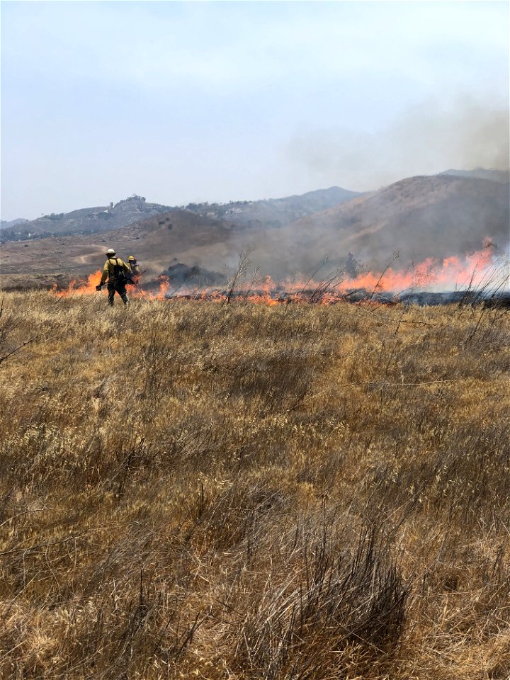 2021 BLM Fire Employee Photo Contest Category: Fuels Management and Prescribed Fire