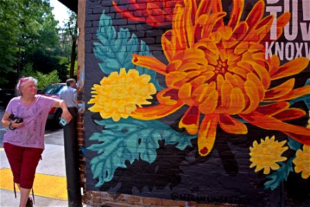 Colorful Knoxville