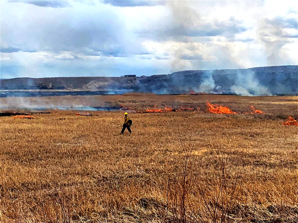 2021 BLM Fire Employee Photo Contest Category: Fire Personnel