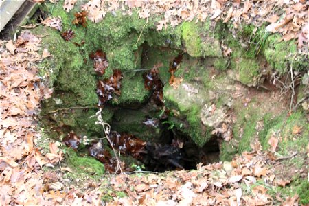 Vertical Entrance to Cave on Paris Springs Conservation Area