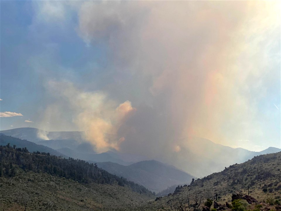 Wilson Creek Fire
