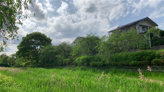 Nogawa River in Koganei-shi
