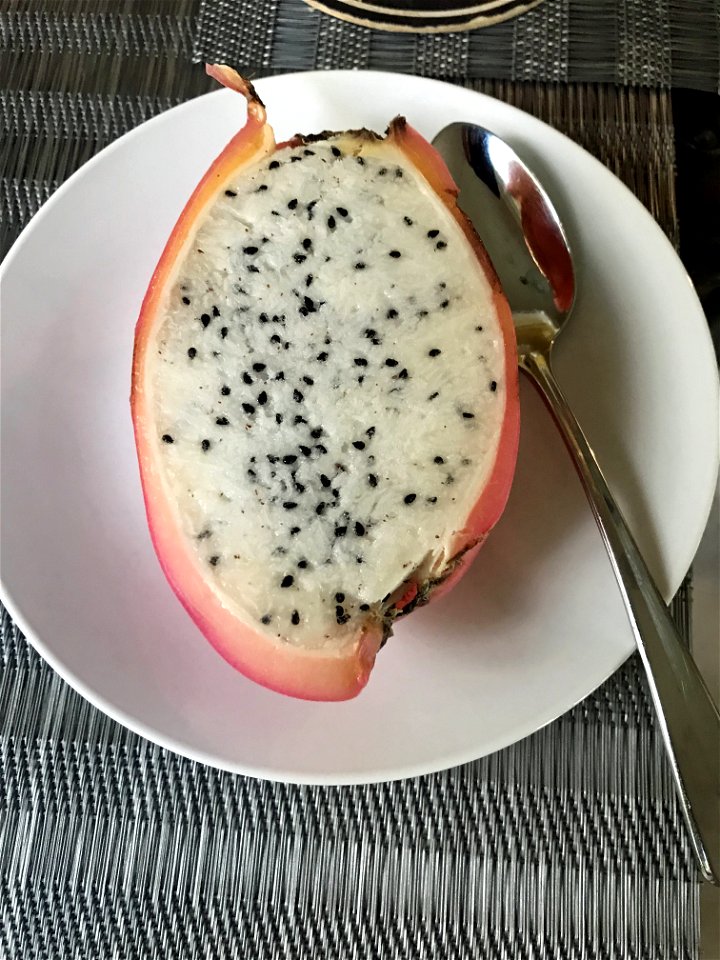 Cactus Fruit