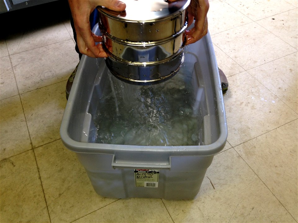 Zebra mussel processing