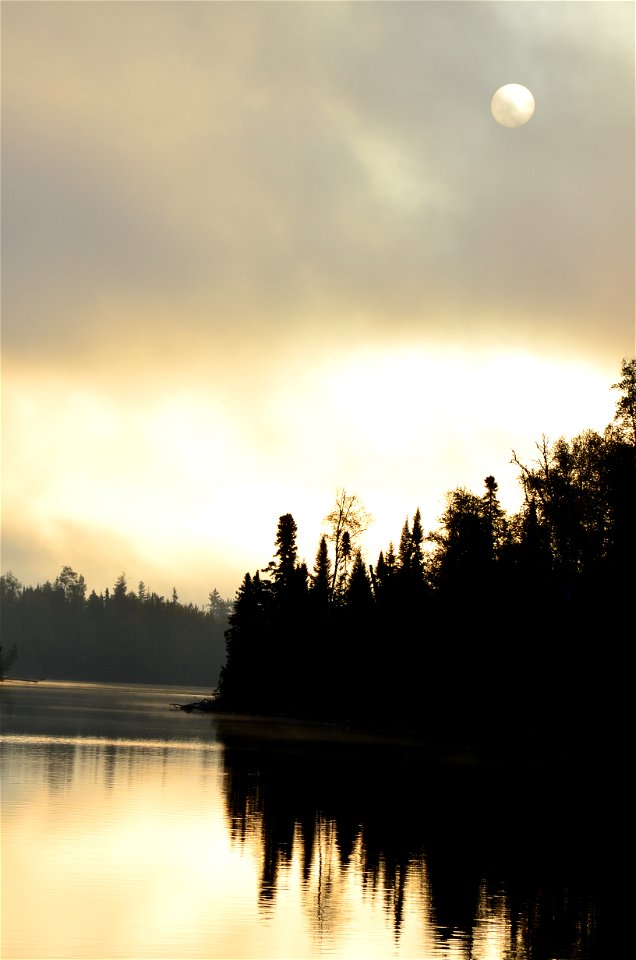 Foggy Sunrise