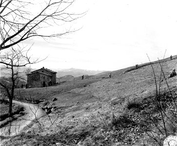 SC 270856 - Riflemen of "F" Co., 87th Mtn. Inf., 10th Mtn. Div., cautiously advance up German-held hill north of Sassomolare.