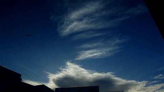 nori_clouds_nubes-2023_0221_090623(1)