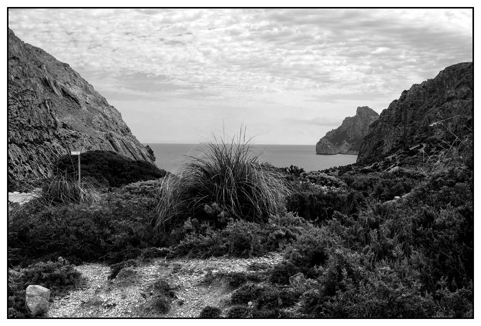 Cala Boquer photo